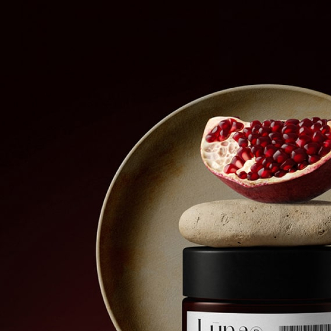 MORTIERS et ENDUITS Axon International